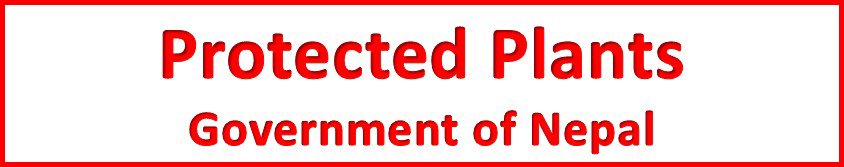 Government listed